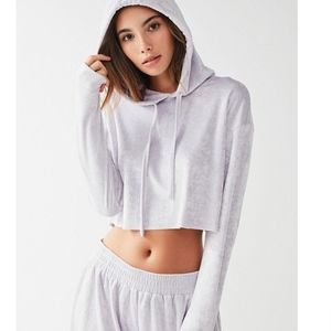 Urban Outfitters Velvet Cropped Hoodie Sweatshirt